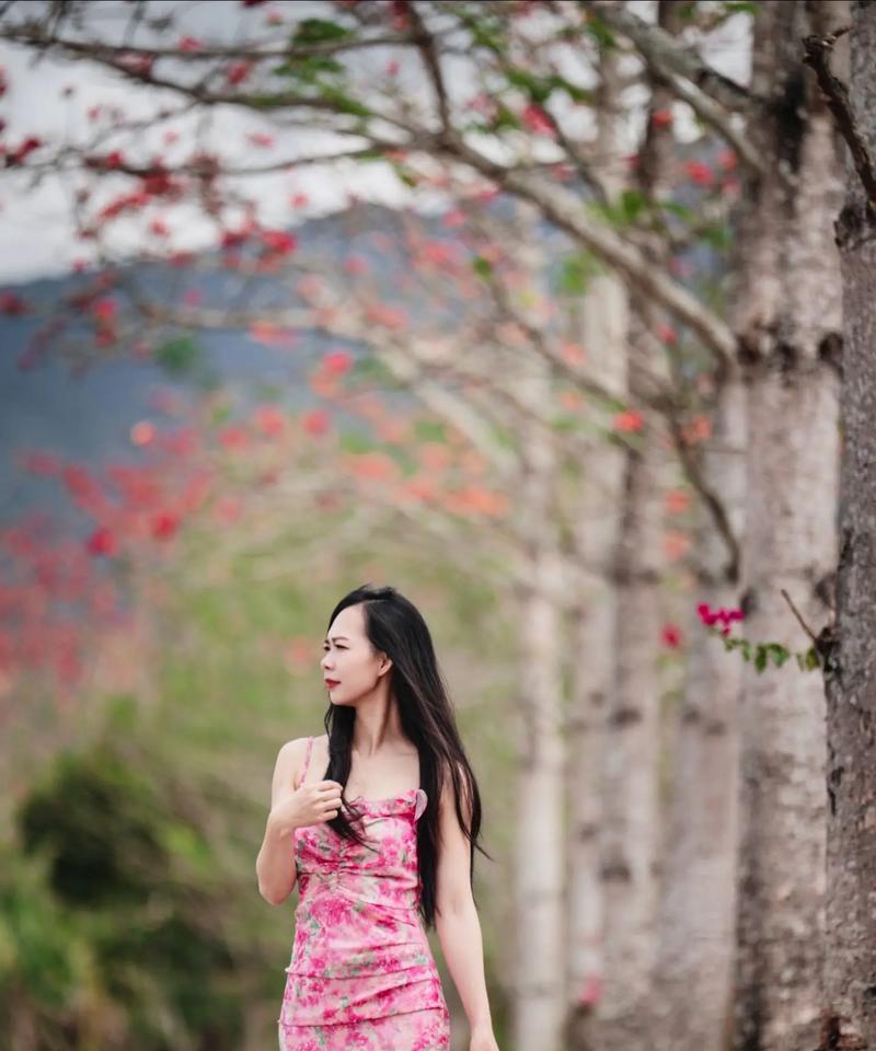 幸福花语有哪些？如何通过花语表达幸福？