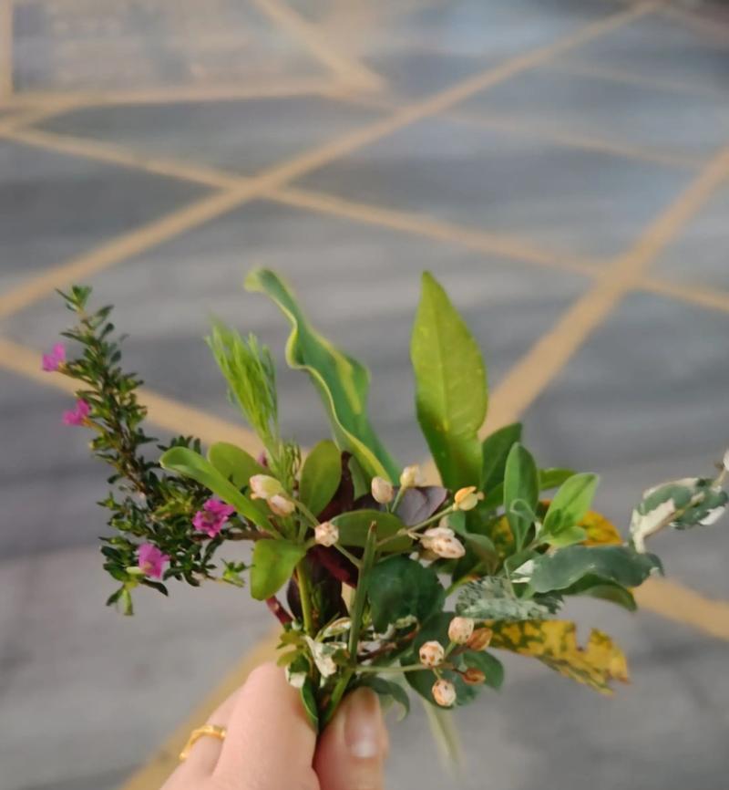 十二色花的寓意象征是什么？它们各自代表什么？