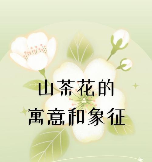 哪些花象征母亲的平安健康？母亲节花卉的特别含义。446