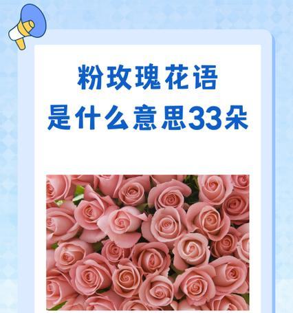 淡黄色玫瑰花的含义是什么？如何表达爱意？