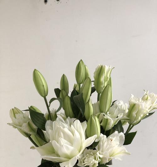 白色百合花送给长辈有何寓意？