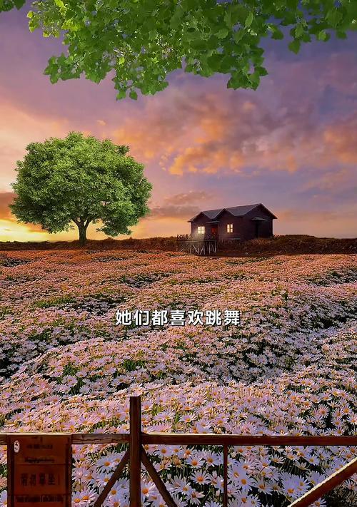 什么花代表大胆自信的爱情？