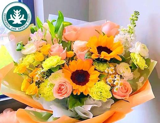 教师节通常用哪种花作为象征？
