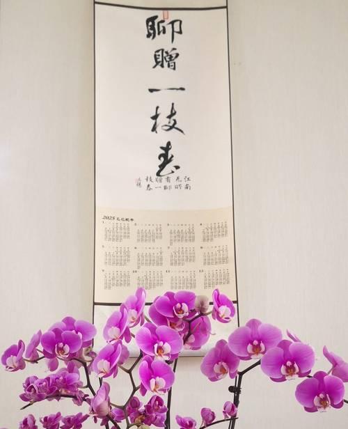 春节摆放什么花语句合适？