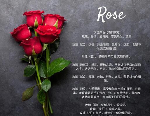 黄色花代表什么？只爱他一个人的花是什么？