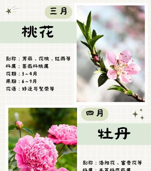 时节花的寓意是什么？不同季节的花卉代表什么意义？