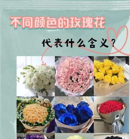 花的颜色代表什么？不同颜色花卉的象征意义是什么？