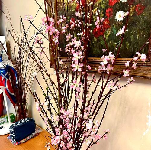 春节适合家中摆放哪些寓意好的花？