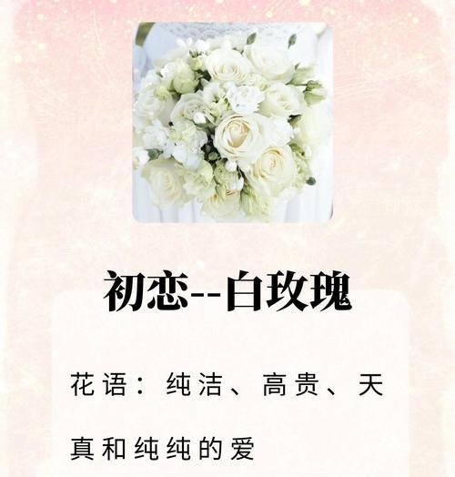 什么花寓意爱情的句子有哪些？花与爱情的浪漫关联是什么？