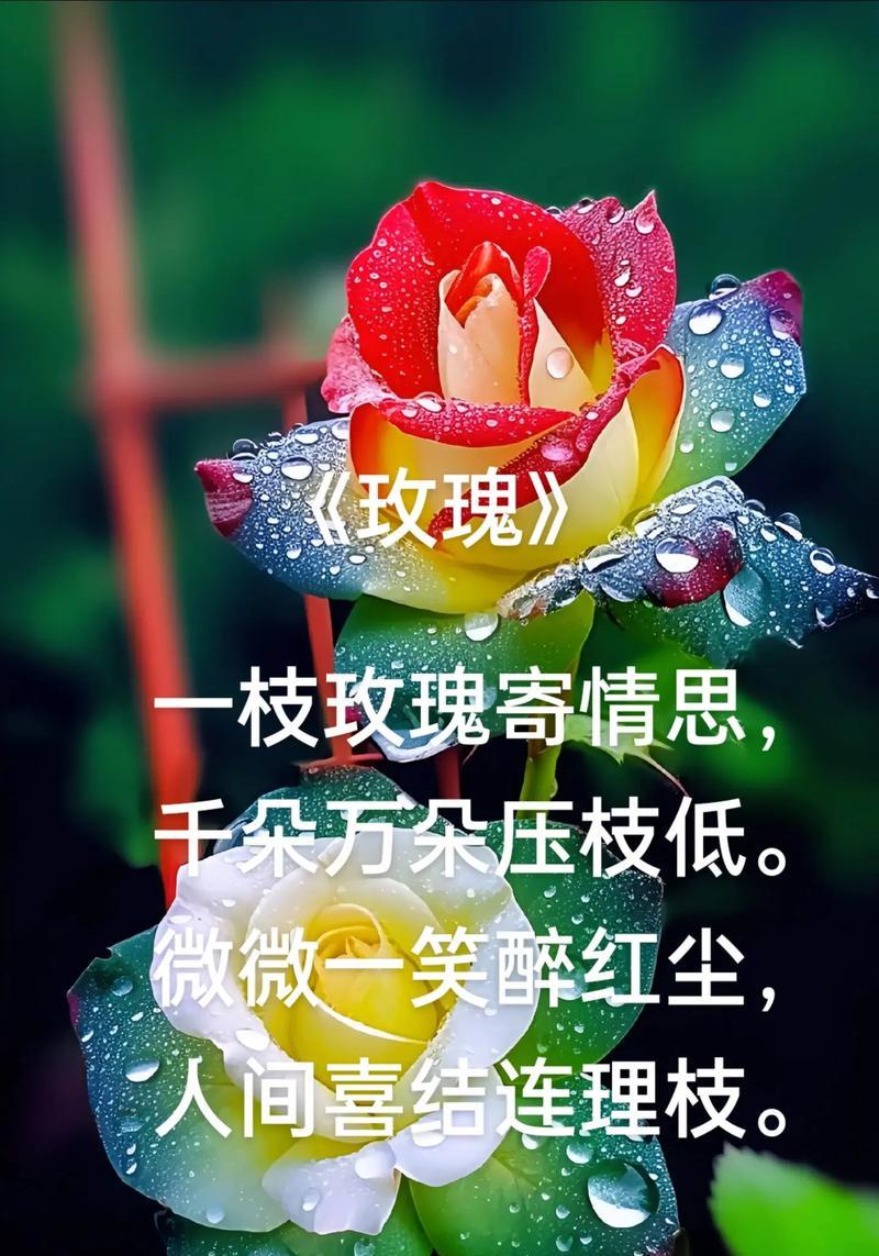 什么花寓意爱情的句子有哪些？花与爱情的浪漫关联是什么？