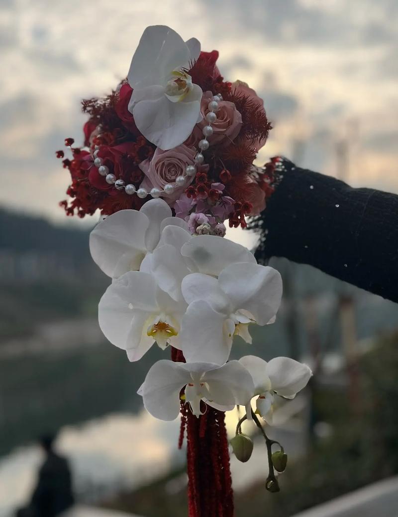 水滴香槟手捧花有何特别含义？这种花的花语是什么？