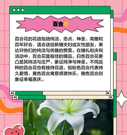 花在爱情中通常代表什么意义？