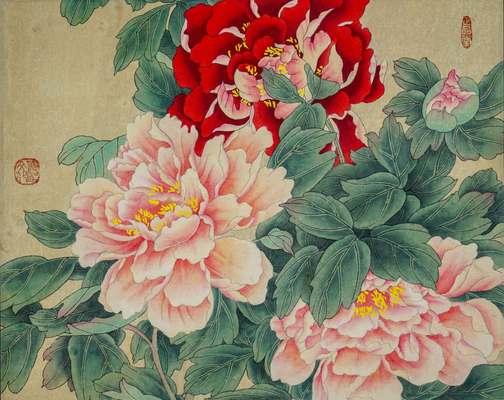 吉祥富贵花有哪些？吉祥富贵花的寓意是什么？