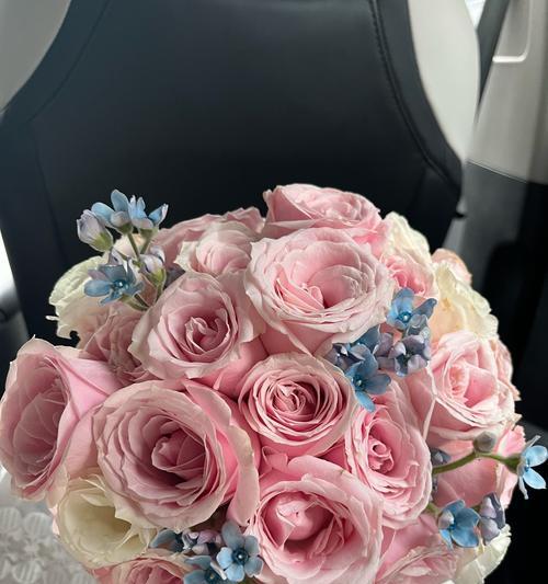 手捧花送爸爸有何含义？这种花的寓意是什么？