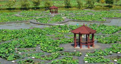 父亲节送叫花鸡有何深层含义？