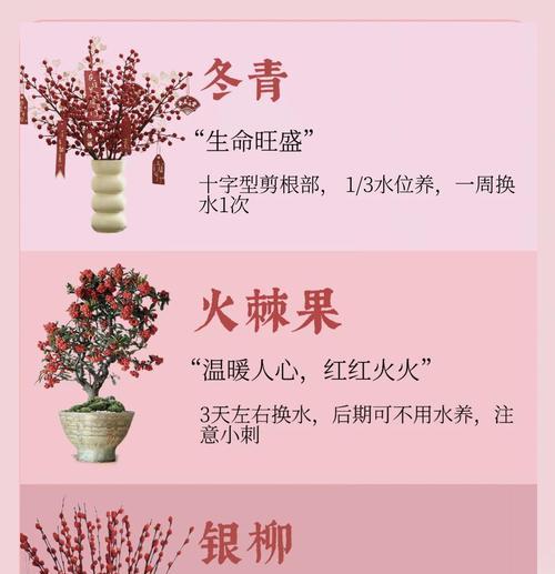 哪些花艺寓意身体健康？这些花的名字和寓意是什么？