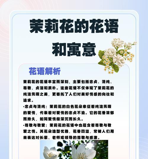 送白色花的寓意是什么？它在不同场合代表什么？