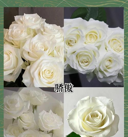 送白色花的寓意是什么？它在不同场合代表什么？