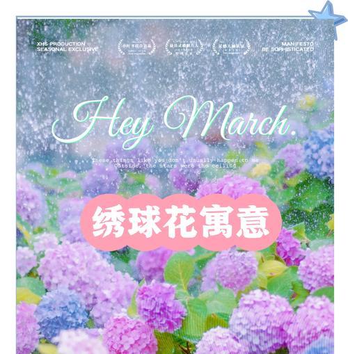 哪些花象征着季节？它们的花语和寓意是什么？