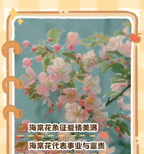 哪些花象征着季节？它们的花语和寓意是什么？