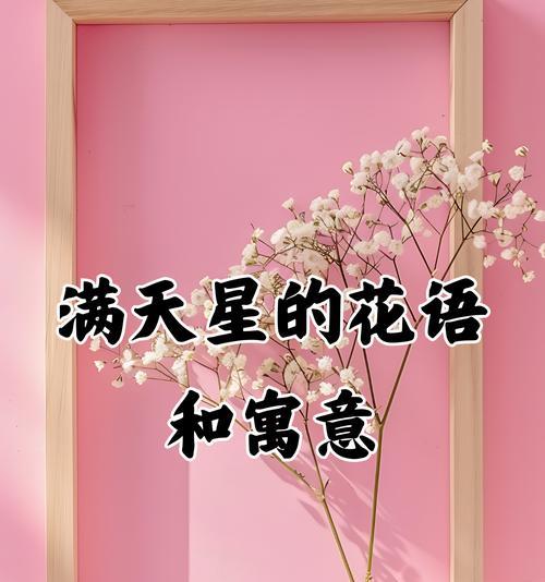 橙色与粉色花搭配的寓意是什么？搭配花语有哪些？