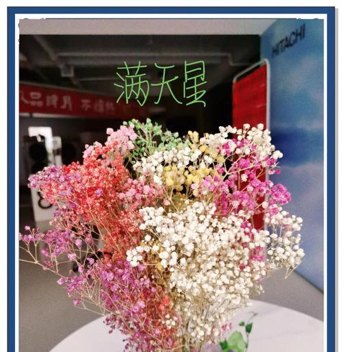 满天星是深盆还是浅盆更适合？（深入探究满天星的栽培技巧）