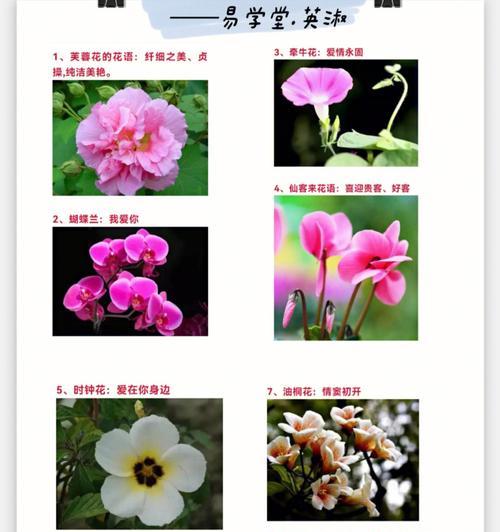 蚕豆皮的妙用——肥料制作（从厨房垃圾到绿色宝藏，轻松DIY，肥料再生利用）