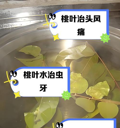 如何解决桃树蛋掉叶子问题（从原因到应对，一篇全面指南）