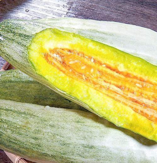 羊角瓜种植攻略——合适的季节与技巧（用正确的方法，让你的羊角瓜收获丰硕）