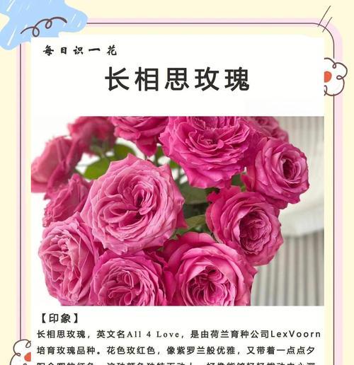 酸奶可以浇栀子花吗？——揭秘酸奶浇花的真相（酸奶浇花是益处多多，但也需注意方式方法！）