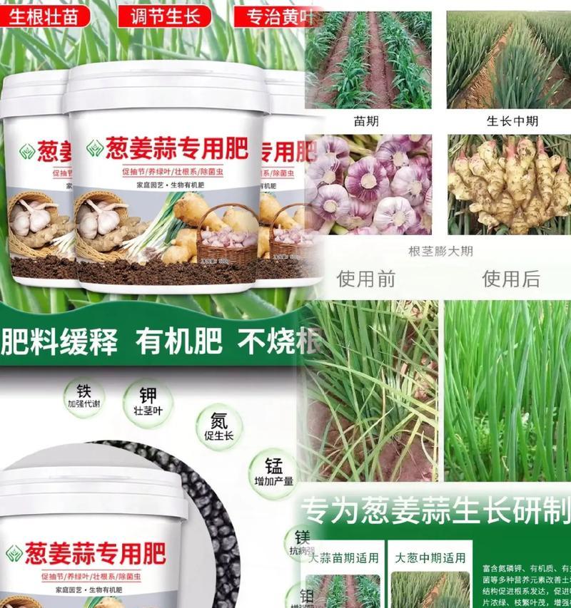 大蒜肥料选用指南（为大蒜提供充足营养的肥料选择和使用方法）