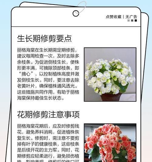 海棠花修剪指南（技巧图解教你正确修剪海棠花）