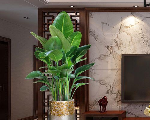 客厅东南角植物摆放的好处与技巧（打造舒适生活空间，从植物入手）