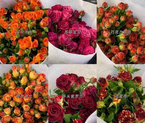 迷迭香黄叶怎么处理？（处理迷迭香黄叶的实用技巧与方法）