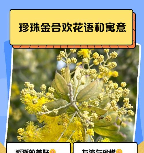 蟹脚兰的花期与开花时间（了解蟹脚兰的生长习性，掌握正确的养殖方法）