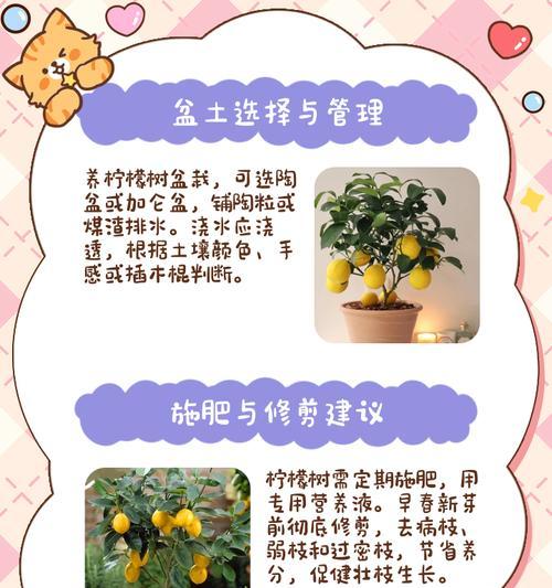 柠檬树不开花的原因及处理方法（为什么柠檬树不开花？如何解决？）
