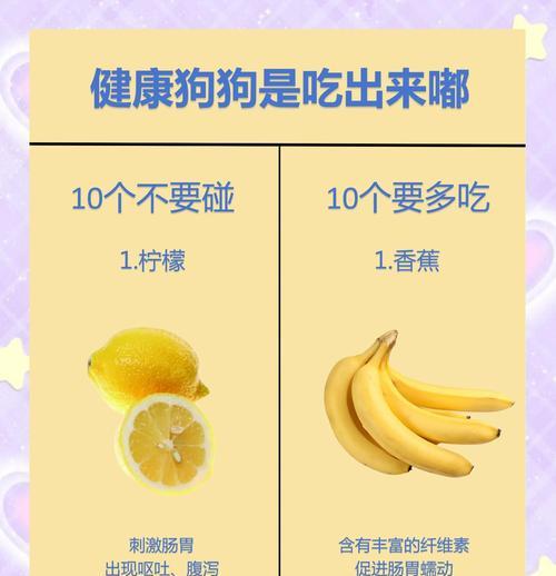 宠物狗能吃莲藕吗？探究宠物狗的饮食习惯
