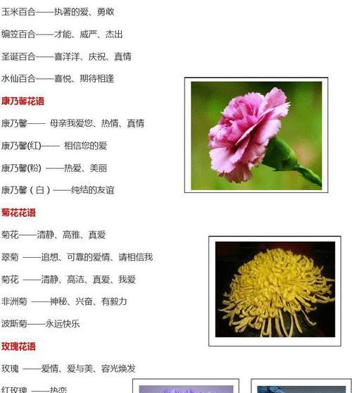 如何种植红萝卜种子（红萝卜种植指南，从选种到收获全掌握）