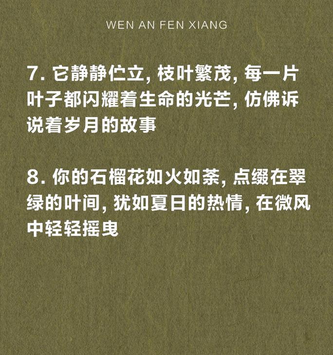 石榴树的样子和特点（探秘石榴树的神奇之处）