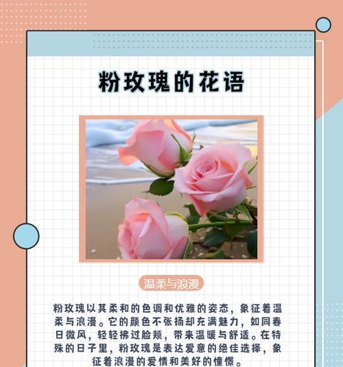 花语解读（一份特别的爱意，一种独特的情感）