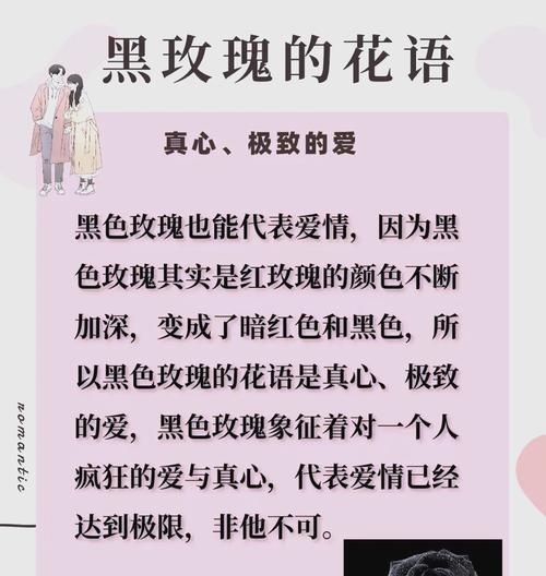 花语解读（一份特别的爱意，一种独特的情感）