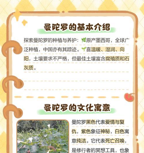 曼陀罗是多年生还是一年生？（解析曼陀罗的生命周期）