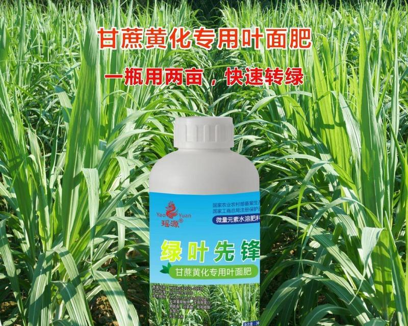 甘蔗肥料：最适合甘蔗生长的肥料