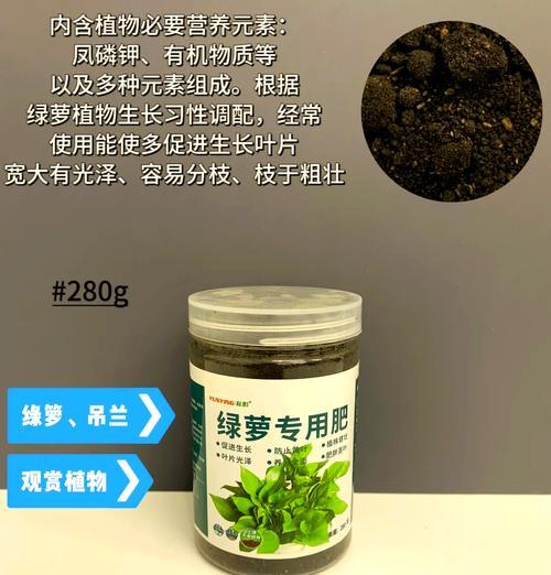 绿萝施肥周期与肥料选择（绿萝施肥周期与肥料选择）
