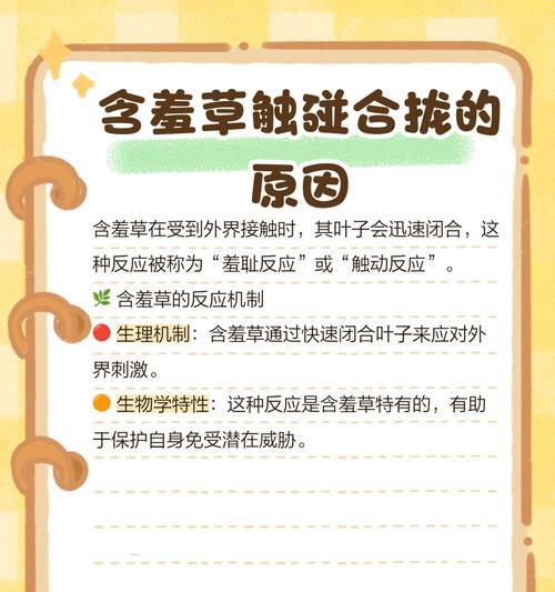 含羞草掉叶子原因及解决方法（了解含羞草掉叶子的原因和如何预防）