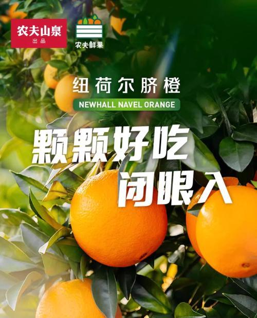脐橙施肥秘籍（掌握最佳施肥方法，让脐橙更健康成长）