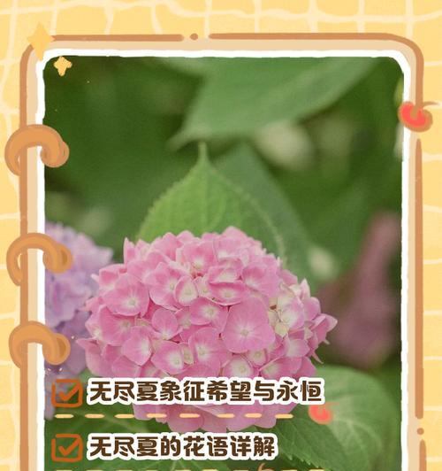 芒果树肥料施用指南（如何选择最适合芒果树的肥料）