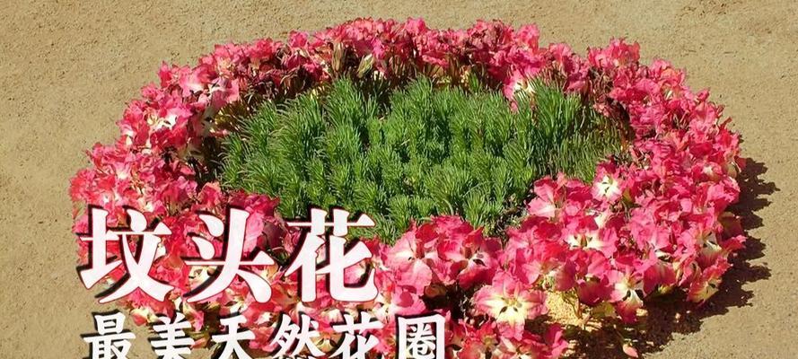 怎样为亲人坟前选择合适的花卉（花卉的象征意义与适宜种植品种）