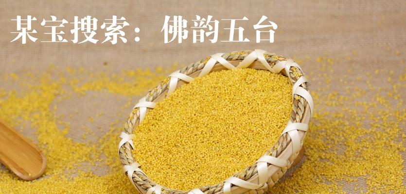 秋玉米的收割时机