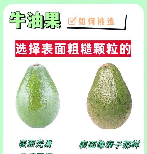 牛油果的成熟上市时间及特点（探究牛油果生长周期与季节性变化）